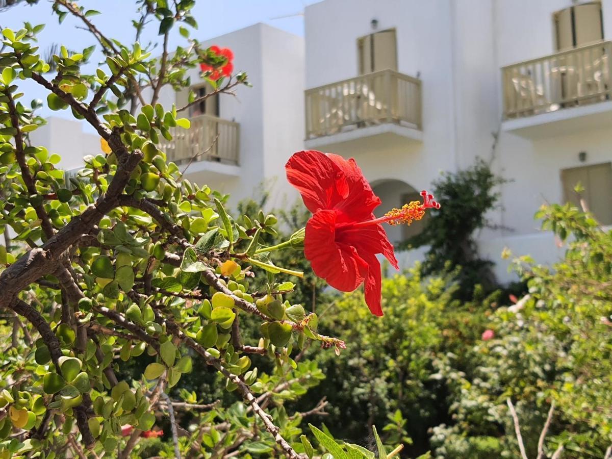 Vidalis Hotel 키오니아 외부 사진